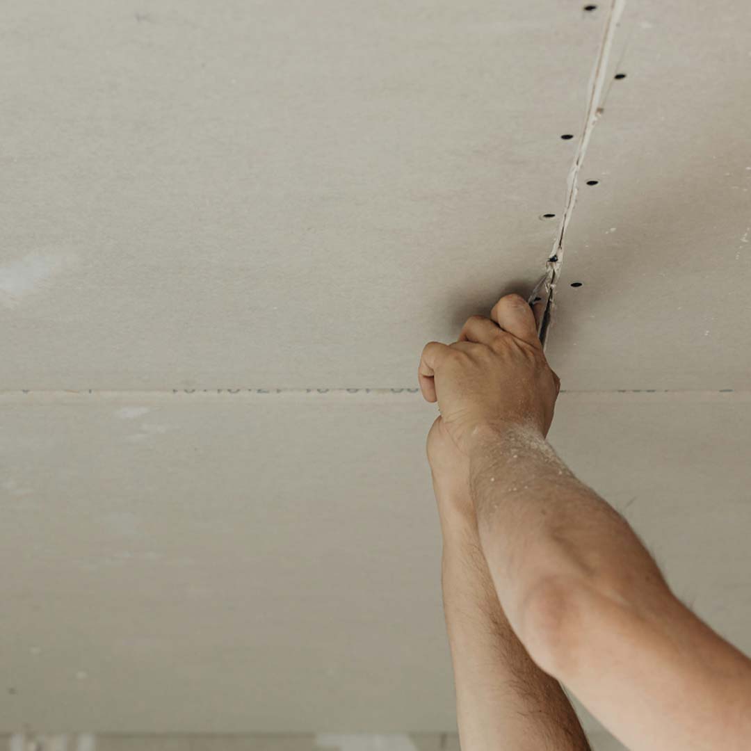 Mold Removal Strategies for Victoria BC