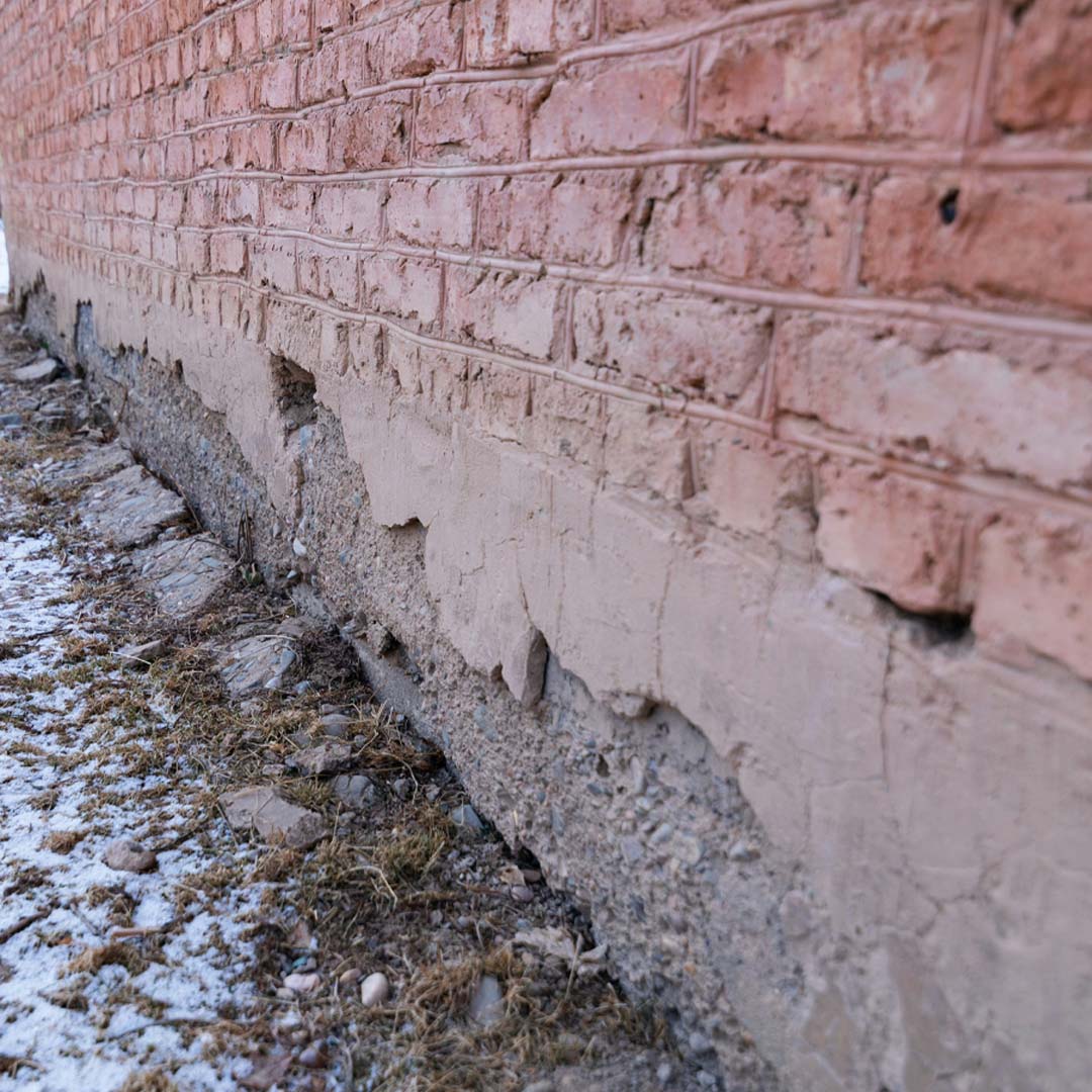 Mold Removal Strategies
