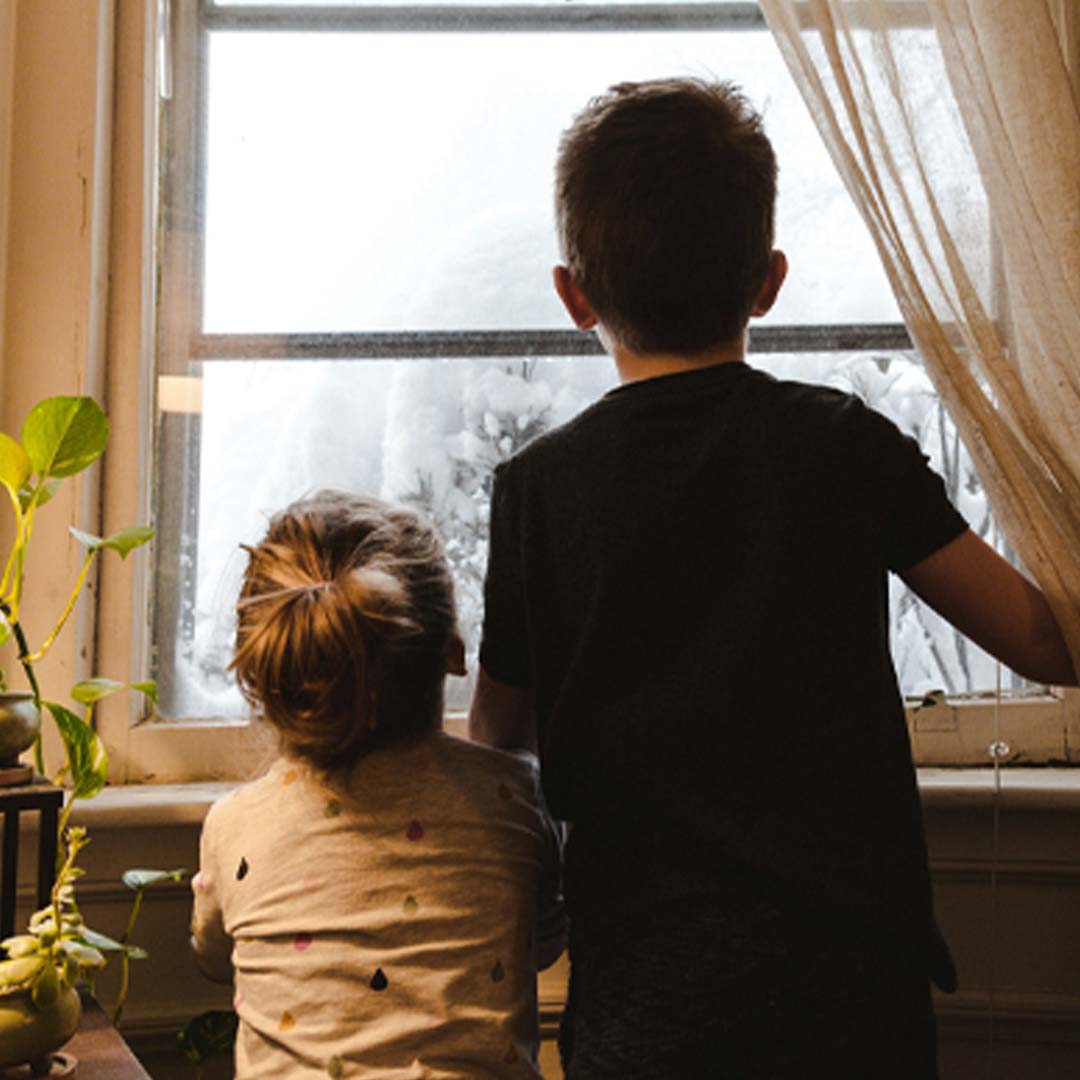 Strategies for Mold Removal