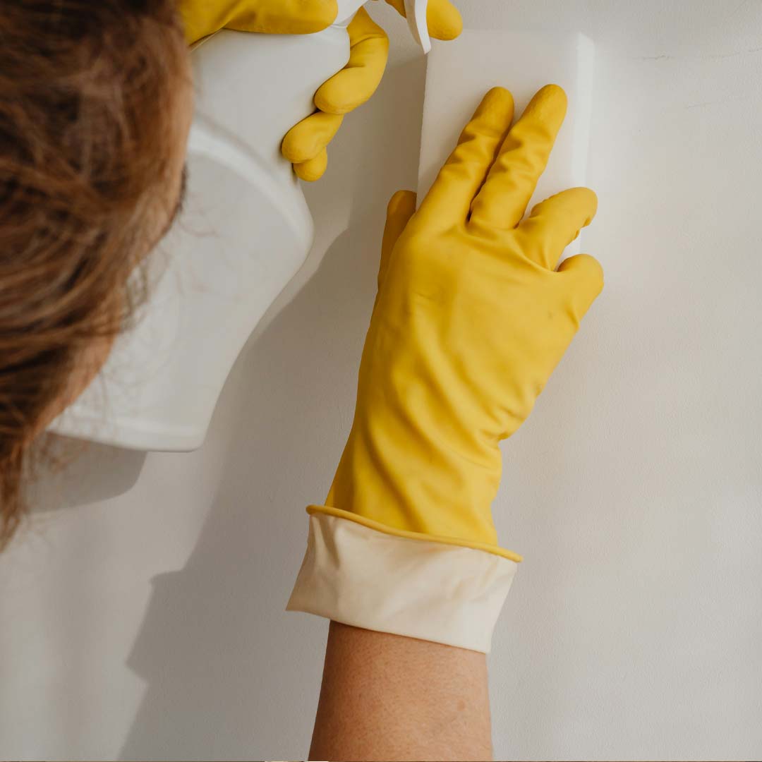 Hire an Expert in Mold Remediation Victoria