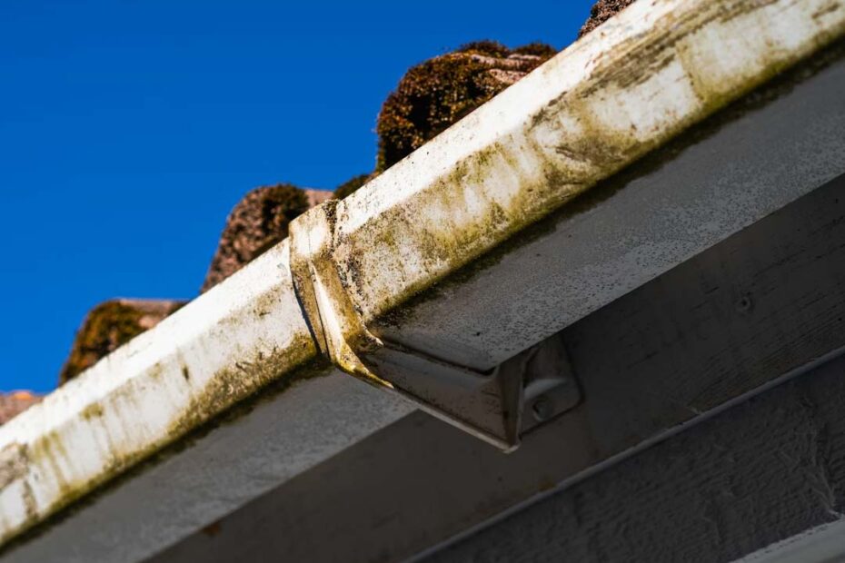 Homes That Have Had Mould in BC