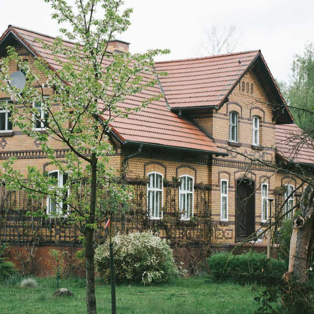 Mould in Your Renovated Home or Building