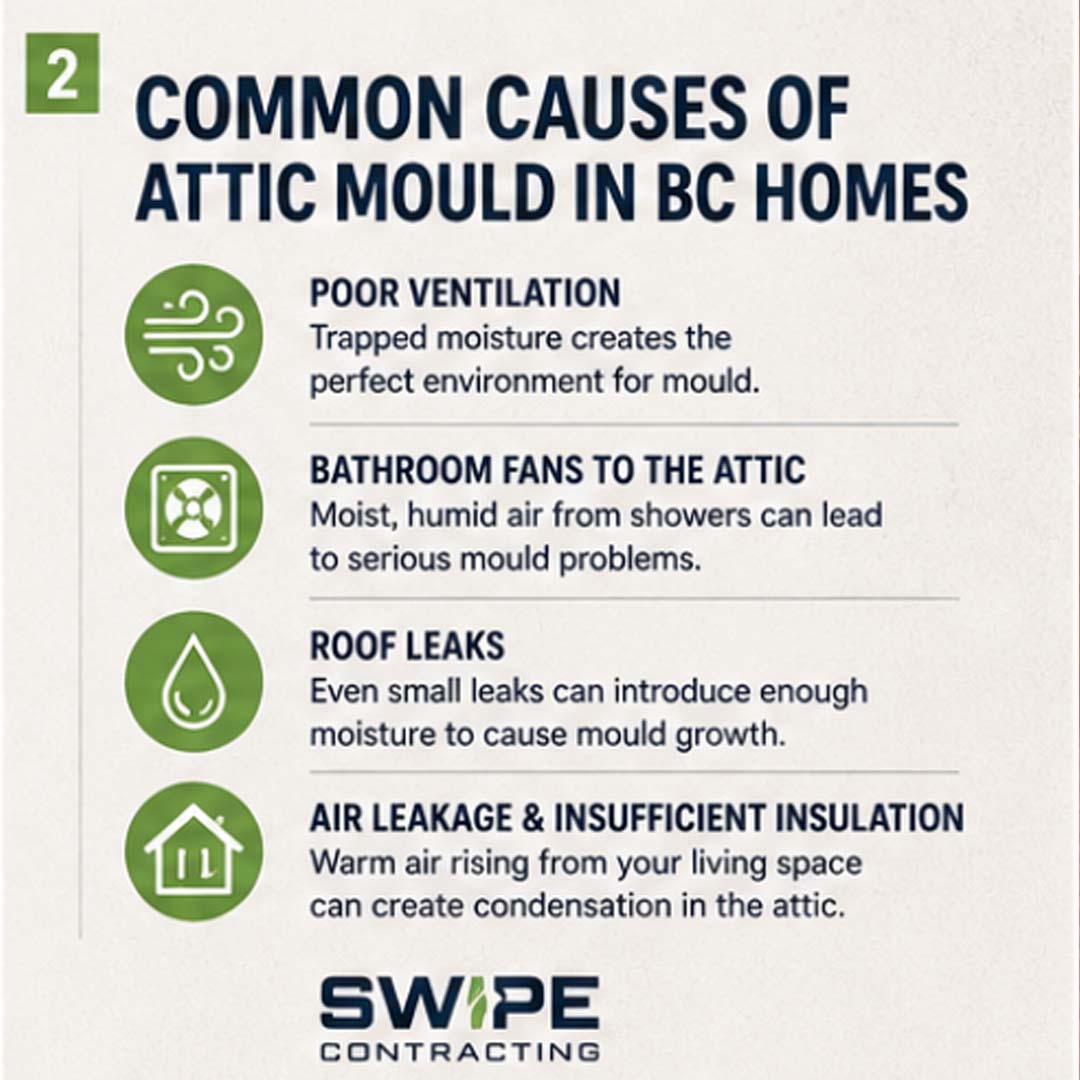 common causes of mould in attics