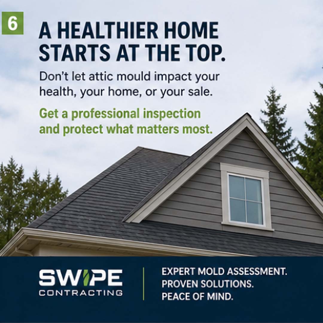 professional remediation for attic mould in bc